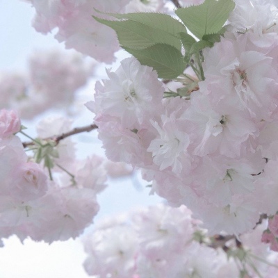 锦江FurryQQ群介绍